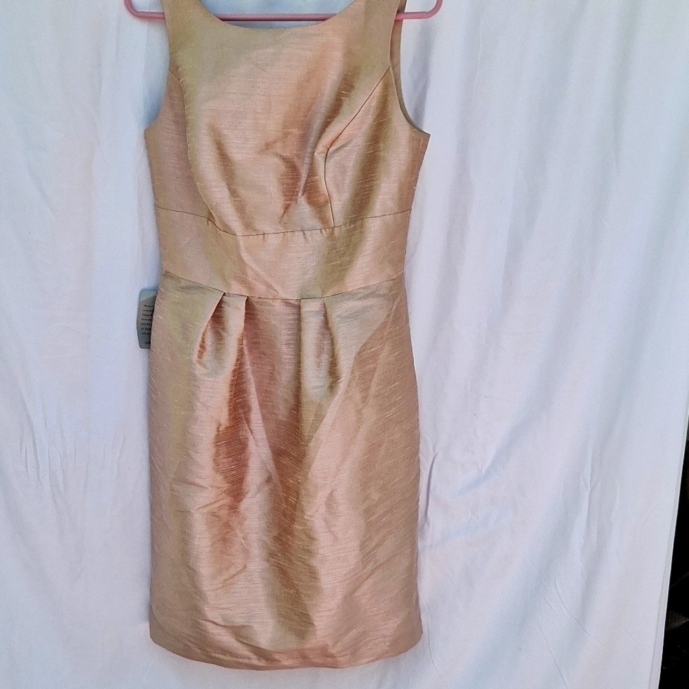 NWT Alfred Sung women's pearl pink sleeveless dress size 8